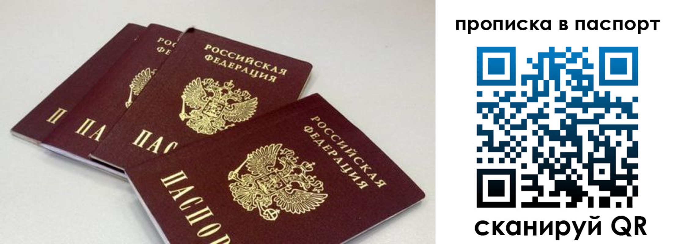 найти адрес прописки в Ярославле